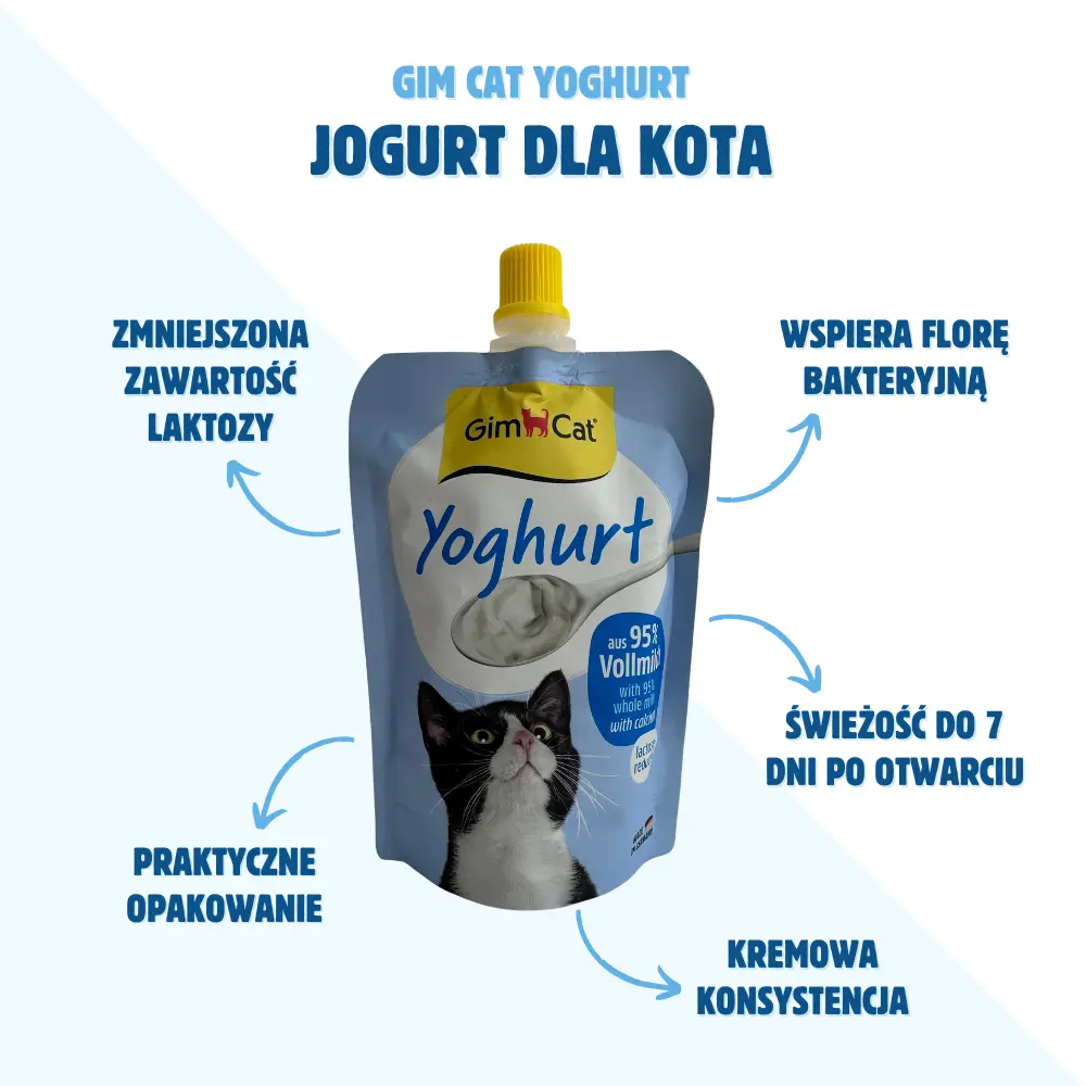 Kot jedzący GimCat Yoghurt