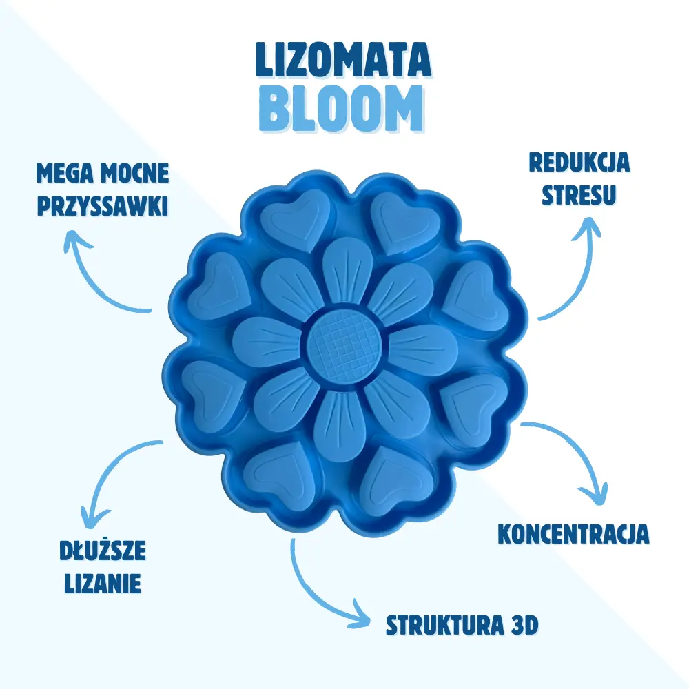 Pupil liżący Lizomatę Bloom