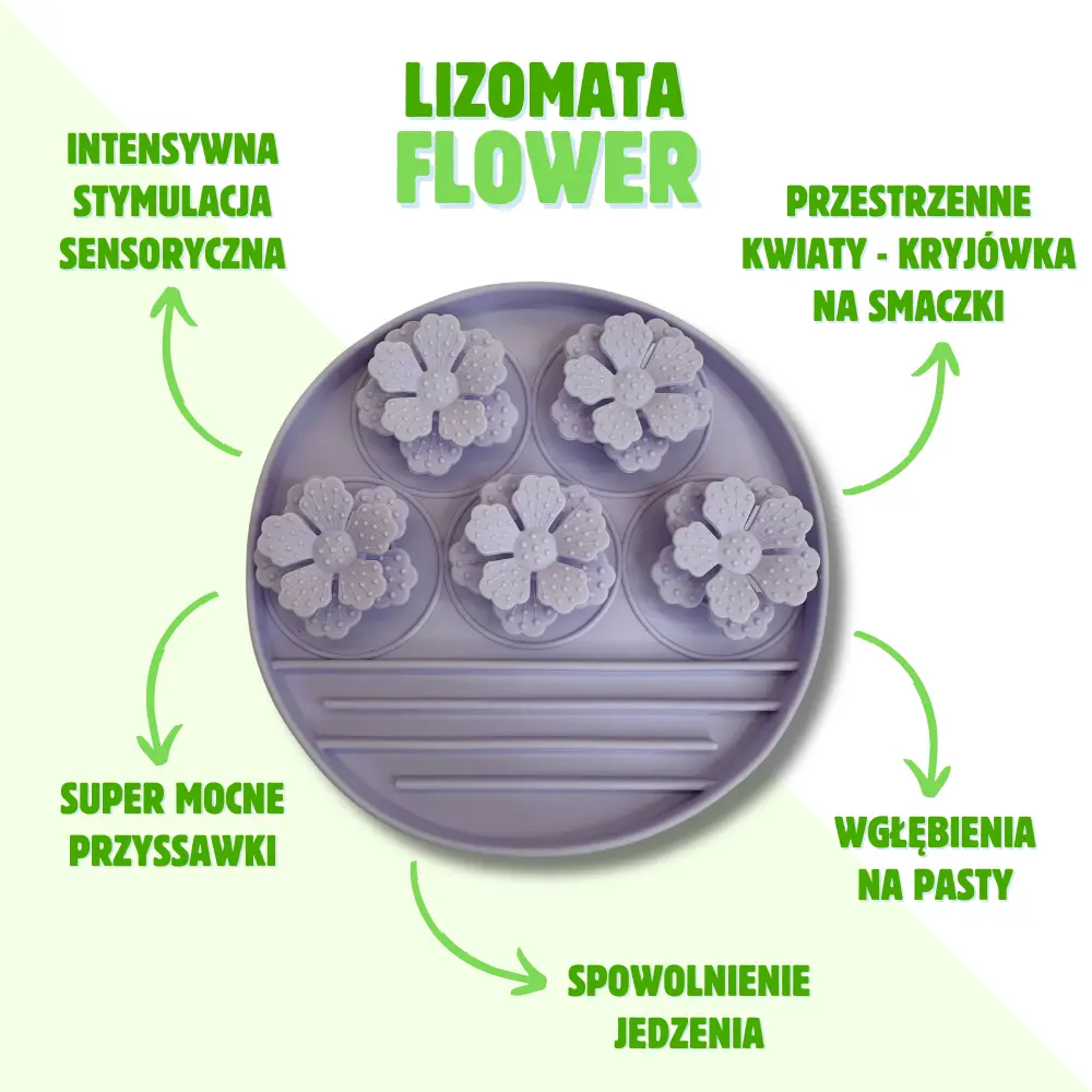 Pupil liżący Lizomatę Flower