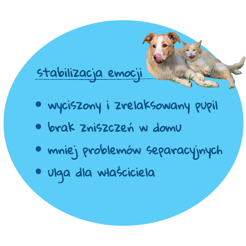 Wyciszony pupil przy Lizomisce