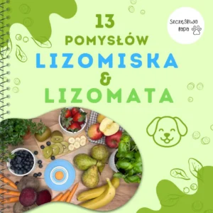Ebook LIZOMISKA & LIZOMATA — dla psa