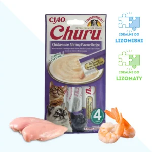 Pasta Churu dla Kota